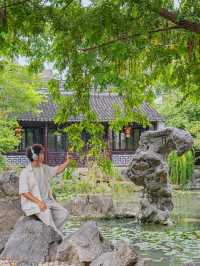 ✨ Haining – A Hidden Gem by the Sea in Zhejiang ✨