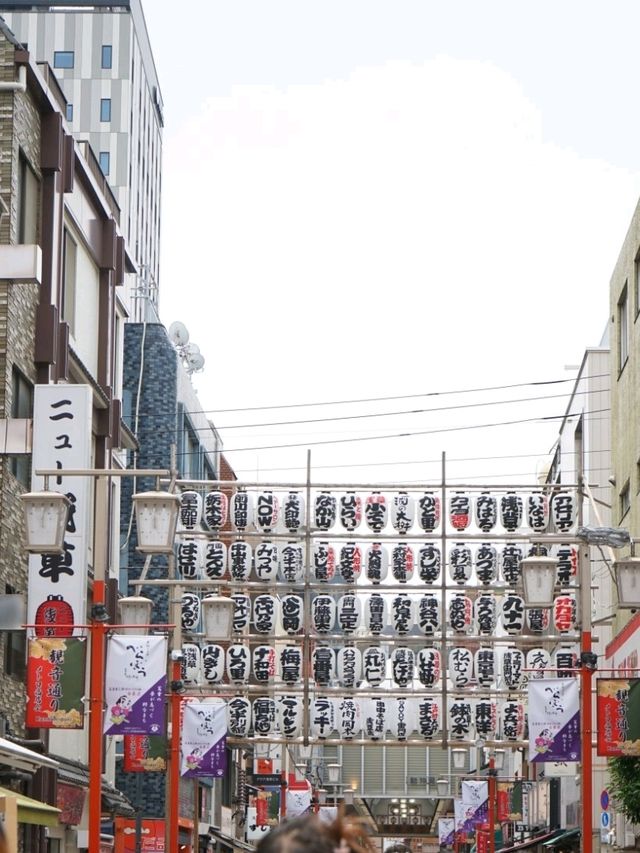 【東京淺草寺】🎎🎏⛩️雷門「大燈籠」