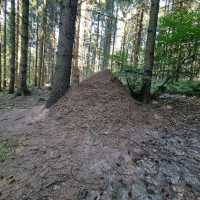 Rold Skov