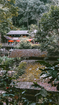 แม่กำปอง Chiang Mai พักใจในวันที่เหนื่อยล้า