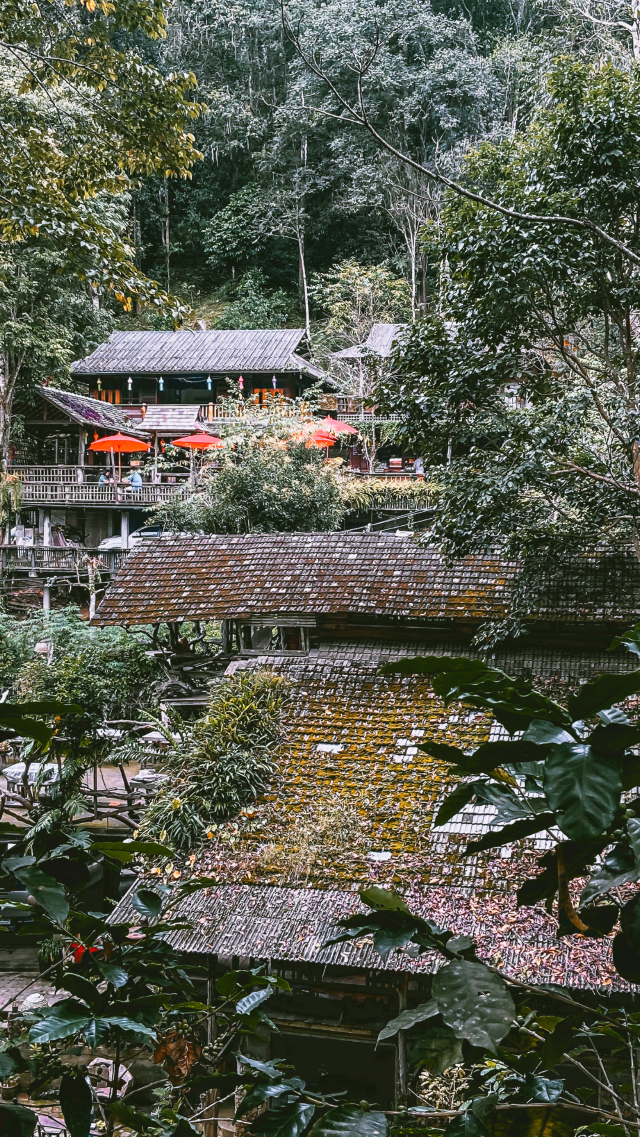 แม่กำปอง Chiang Mai พักใจในวันที่เหนื่อยล้า