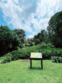 Perdana Botanical Lake: Serene Insta-Worthy Escape with Blossoming Lotus Flowers