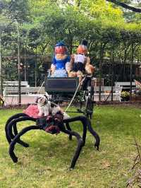 Europa-Park “Halloween is coming”