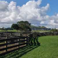 Ambury Regional Park – City-Farm & Harbour Retreat on Auckland’s Shores