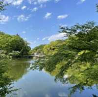 【東京町田】美しい池と植物の楽園