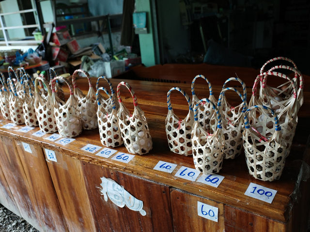 ชวนไปแช่น้ำพุร้อนเมืองเหนือกัน
