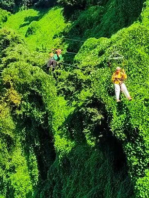 🌿 Batumi Botanical Garden – A Green Paradise by the Black Sea