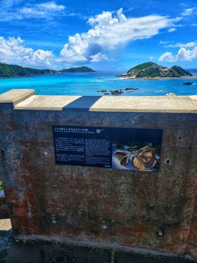 🏝渡嘉敷島深度遊 • 沉浸慶良間藍 • 海灘・自然・賞鯨全攻略🌊