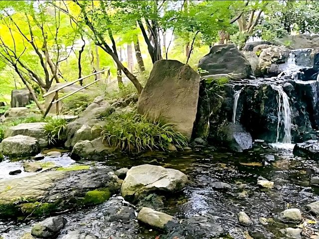 Peaceful Beauty at Shirotori Garden, Nagoya