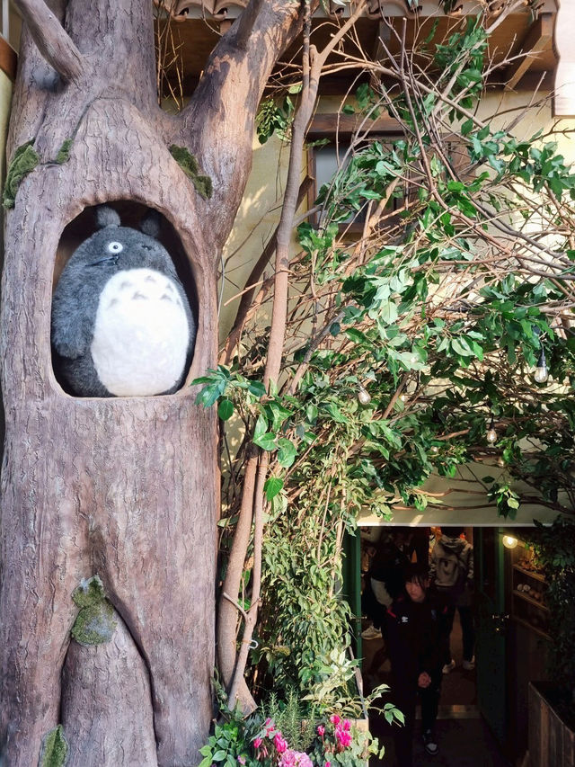 Traveling in Kamakura
