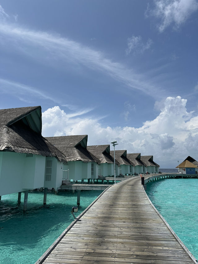 🏝️ 몰디브 센타라 컬렉션 마차푸시 아일랜드 리조트 빌라 업그레이드 후기