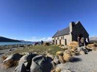 5 Days in Christchurch