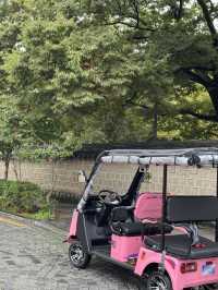 โ ์ ์ฃผ ํ์ฅ ์ ์ ํต๊ณผ ํ๋์ ๋ง๋จ, ์นดํ ์ฐจ๊ฒฝ ๐ฟ