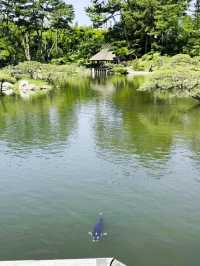 SHUKKEIEN GARDEN.