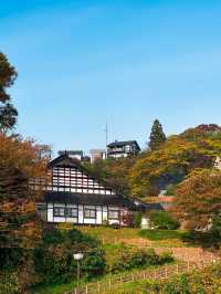 ⛰️도야마 시내 최고의 전망대, ‘쿠레하산 공원 전망대’ 
