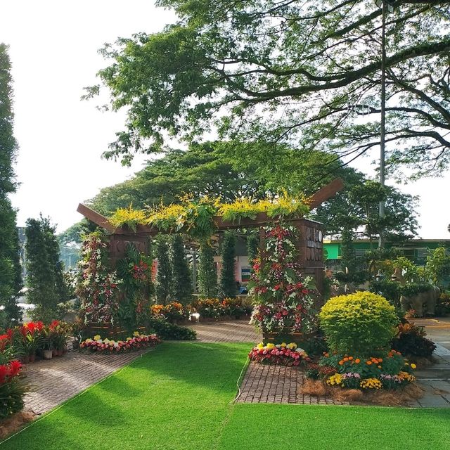 Kuching Heritage Lights & Floral Festival 2025