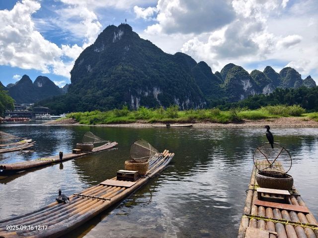 遇龍河邊魚鷹抓魚表演,陽朔草地親子自然體驗🌳 遇龍河邊魚鷹抓魚表演,陽朔草地親子自然體驗🌳