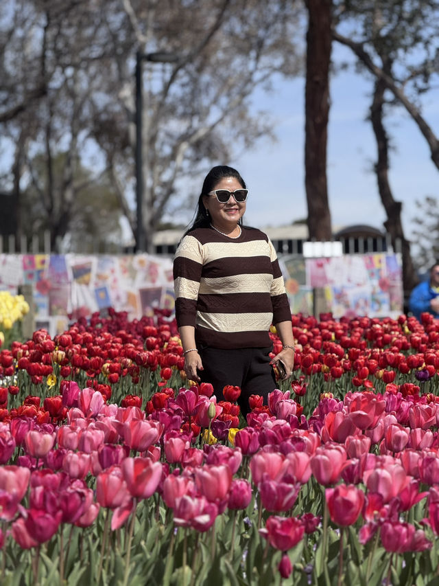 Tulip Festival Fun🎉