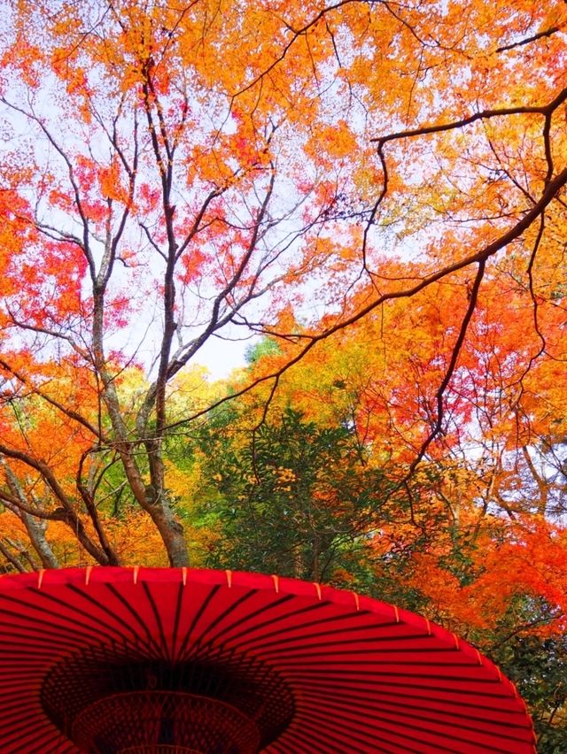 🍂秋のお出かけに👜📍有馬温泉 🍂秋のお出かけに👜📍有馬温泉