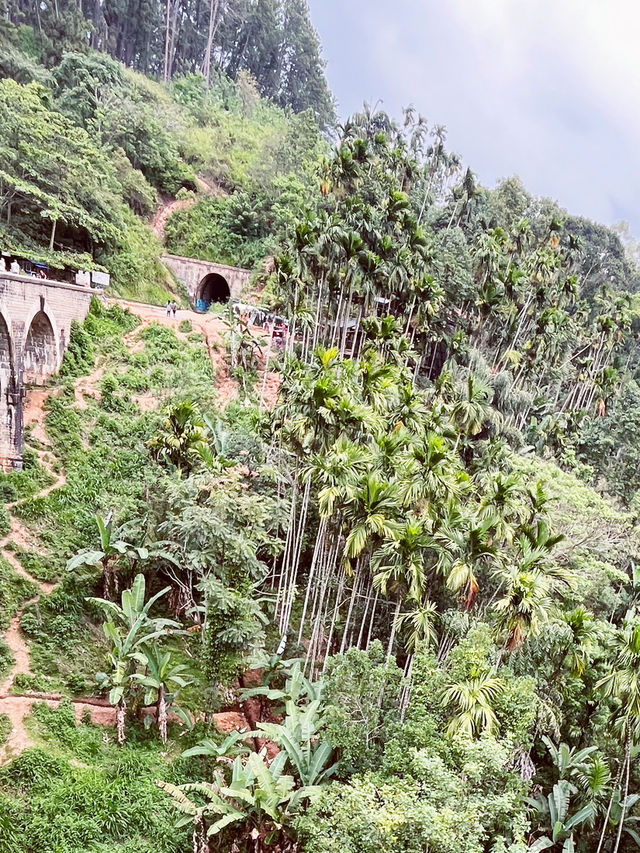 🌉 Nine Arch Bridge, Sri Lanka: A Colonial-Era Masterpiece in the Emerald Mountains! 🚂