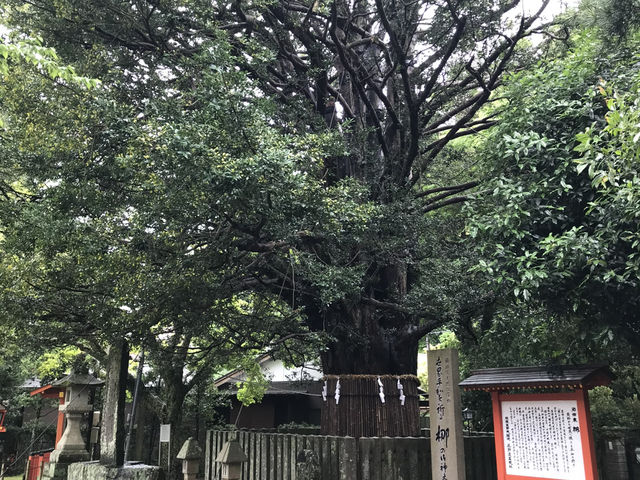 【和歌山・熊野速玉大社⛩️】熊野川の畔に輝く朱の社殿、神々の“はじまりの地” 【和歌山・熊野速玉大社⛩️】熊野川の畔に輝く朱の社殿、神々の“はじまりの地”