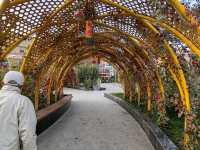 Amanishah Khan Square: Where History and Art Converge