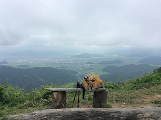 [Fukui, Onigatake ⛰] A panoramic view of Echizen! Climbing a power spot