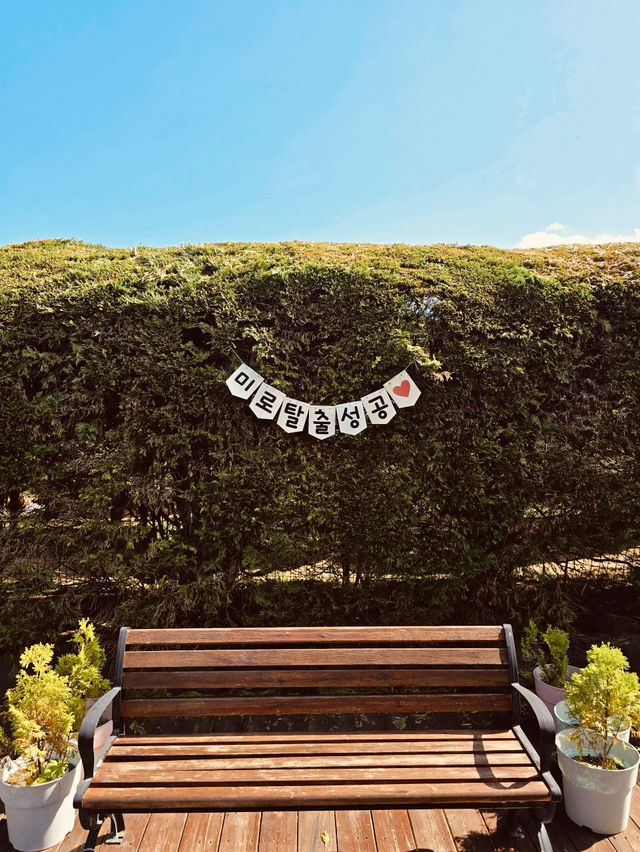 Beautiful Greenery and Refreshing Air