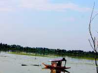 Floating Vegetable Market - Kashmir