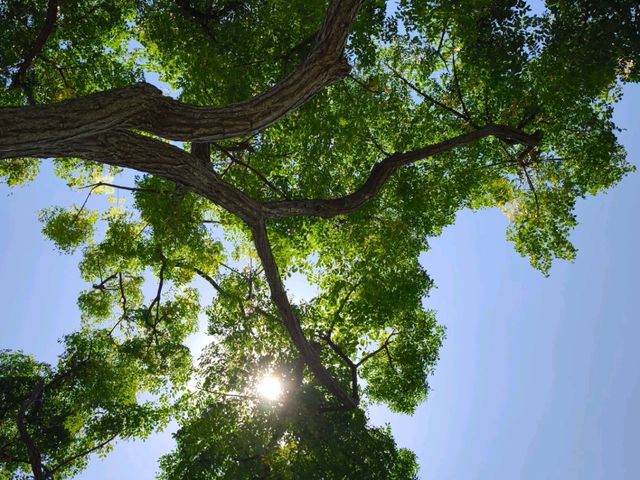 🌾 2025漫遊縱谷 愛在花東・台東篇 🌾