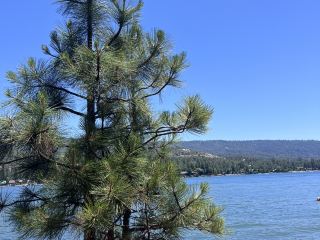 【Bass Lake】잔잔한 오후가 비치는 호수.