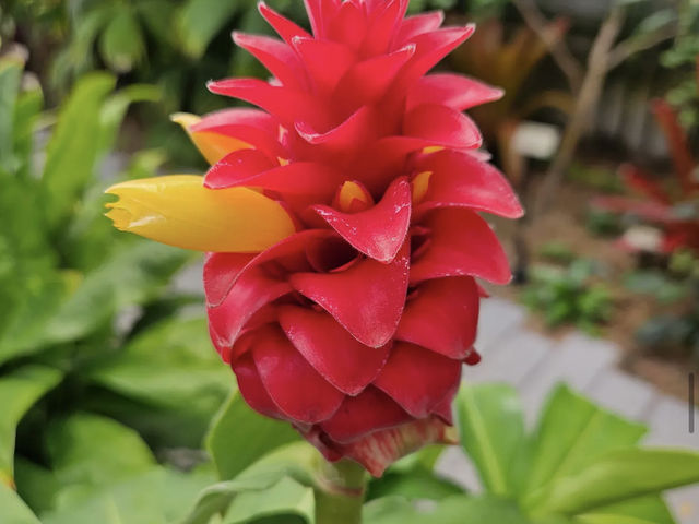 University of California Botanical Garden