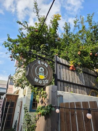 可愛らしいブックカフェ「バサクラ」。