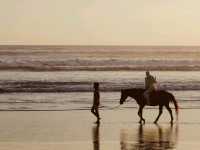 Sunny Shores Await🌞 coxs Bazar ⛵