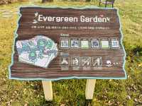 Evergreen Garden: Pyeongtaek’s Secret Sanctuary of Stillness🌿