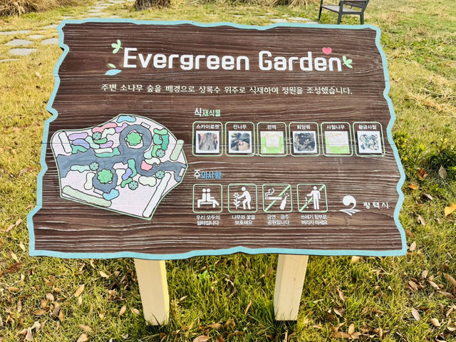 Evergreen Garden: Pyeongtaek’s Secret Sanctuary of Stillness🌿