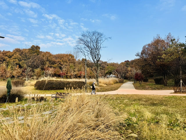 Evergreen Garden: Pyeongtaek’s Secret Sanctuary of Stillness🌿