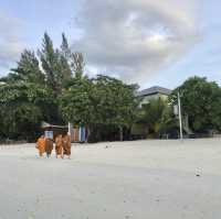 🏝️ เกาะหลีเป๊ะ มันเป๊ะมาก🌈