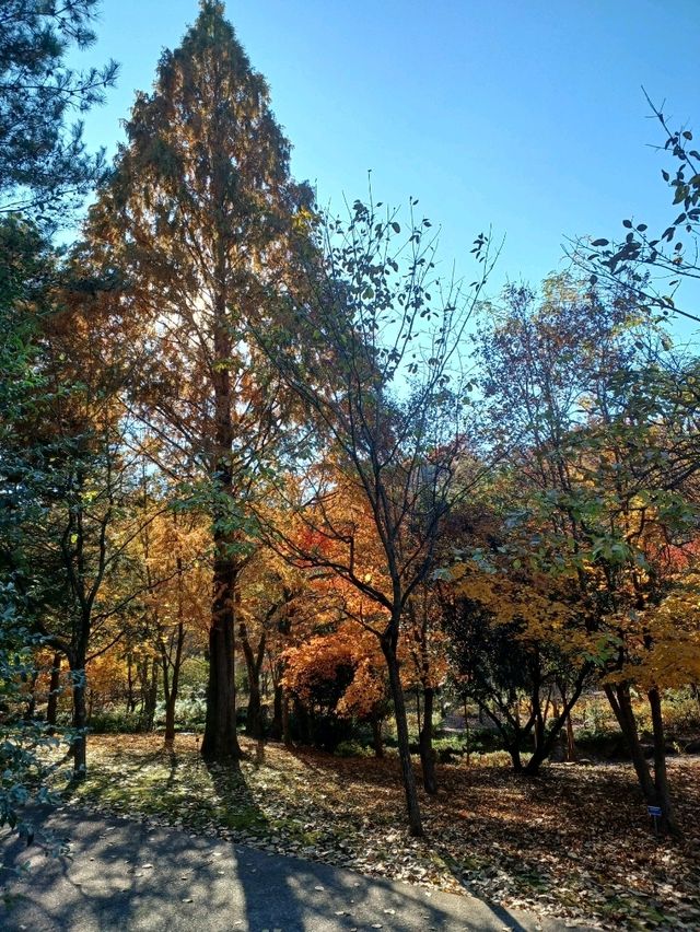 산책만으로도 힐링 산책만으로도 힐링