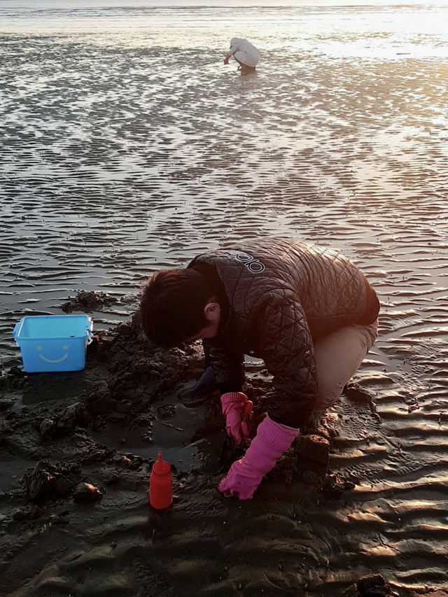 🇰🇷겨울철 캠핑하기 딱좋은 달산포 여행 완벽정리