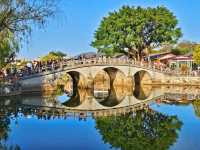 蹒跚小旅人:在南雄的鎏金童话里,接住整个秋天