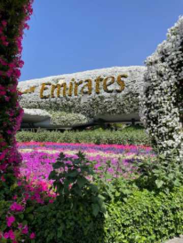 DUBAI MIRACLE GARDEN: A FLOWER UNIVERSE IN THE MIDDLE OF THE DESERT