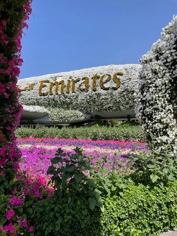 DUBAI MIRACLE GARDEN: A FLOWER UNIVERSE IN THE MIDDLE OF THE DESERT DUBAI MIRACLE GARDEN: A FLOWER UNIVERSE IN THE MIDDLE OF THE DESERT