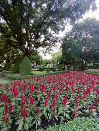 เดินชมดอกไม้งาม เทศกาลพรรณไม้เมืองหนาว สวนหลวงร.9