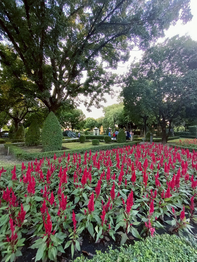 เดินชมดอกไม้งาม เทศกาลพรรณไม้เมืองหนาว สวนหลวงร.9