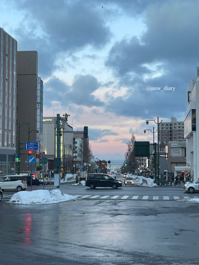 삿포로 근교 당일치기 최강 코스 = 오타루 🎐❄️