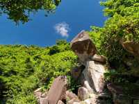 Where Concrete Meets Coral: The Resilient Refuge of Cape D’Aguilar 