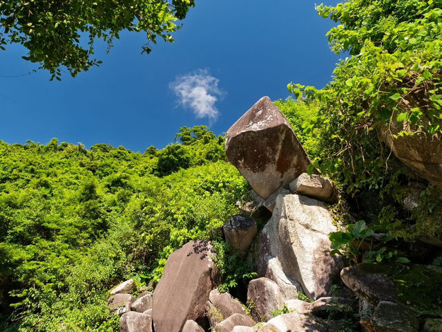 Where Concrete Meets Coral: The Resilient Refuge of Cape D’Aguilar 