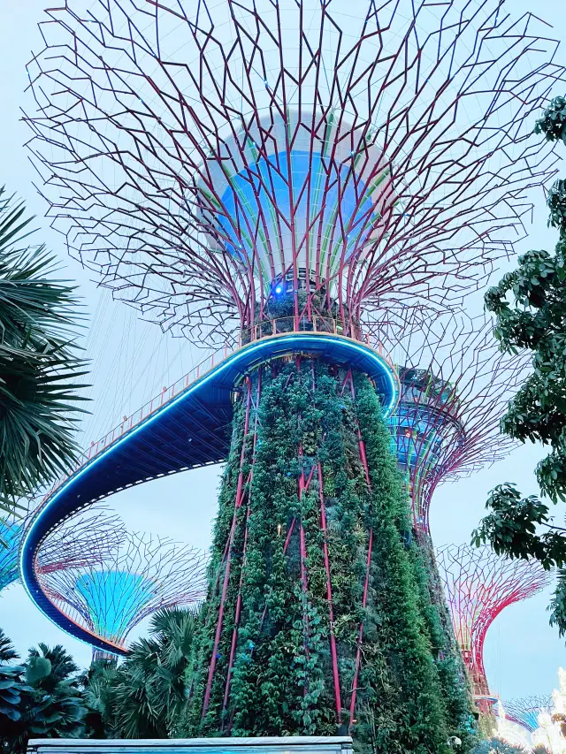 Christmas Wonderland Singapore: A Must-Visit Festive Spectacle