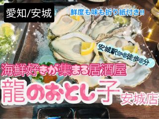 【愛知/安城】鮮度抜群‼︎ 海鮮好きが集まる居酒屋『龍のおとし子』